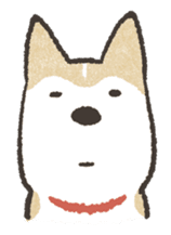 Shiba Inu (Shiba-Dog) stickers sticker #888302