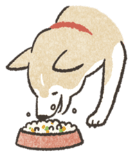 Shiba Inu (Shiba-Dog) stickers sticker #888305