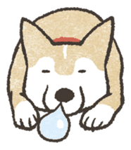 Shiba Inu (Shiba-Dog) stickers sticker #888306