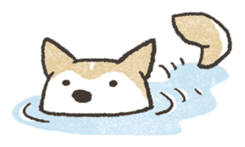 Shiba Inu (Shiba-Dog) stickers sticker #888309