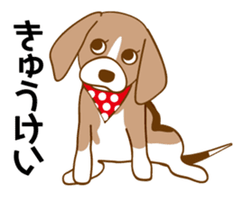 CAPRICIOUS BEAGLE DOG HANA 2 sticker #1020006