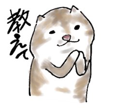 Wine Life with cat sticker #1620456