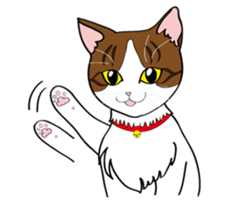 Unyako & The friends of a lovely cat jp sticker #2703204