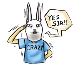 Crazy Rabbit Head sticker #4070118