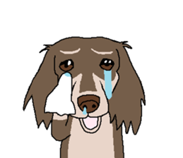 syokora(Without words) sticker #4741015