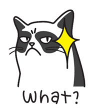 Grumpy cat -"Simtong" sticker #5120119