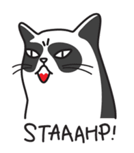 Grumpy cat -"Simtong" sticker #5120127