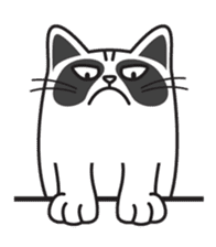 Grumpy cat -"Simtong" sticker #5120157
