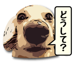 Real dog 's sticker #5141411