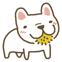 I love french bulldog ( Mimi)