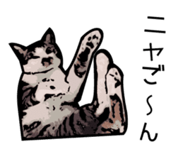 Sakura cat sticker #6784770