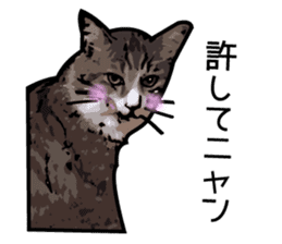 Sakura cat sticker #6784771