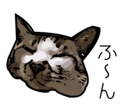 Sakura cat sticker #6784775
