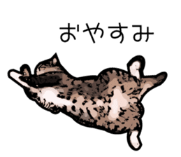 Sakura cat sticker #6784778