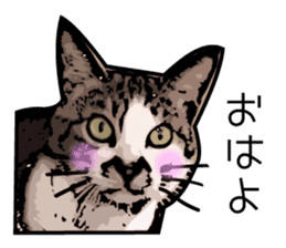 Sakura cat sticker #6784779