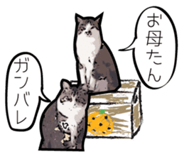 Sakura cat sticker #6784780