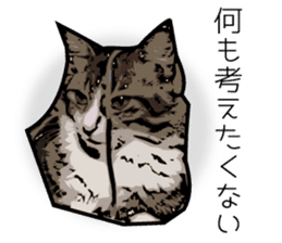 Sakura cat sticker #6784781