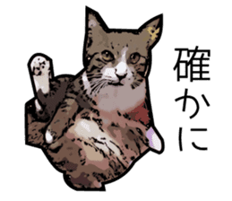 Sakura cat sticker #6784782