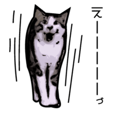 Sakura cat sticker #6784783