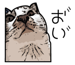 Sakura cat sticker #6784785