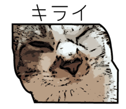 Sakura cat sticker #6784786