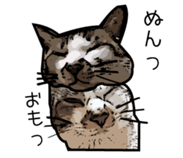 Sakura cat sticker #6784795