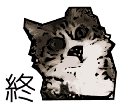 Sakura cat sticker #6784807