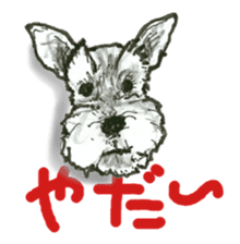 Miniature Schnauzer - BooBii sticker #6878377