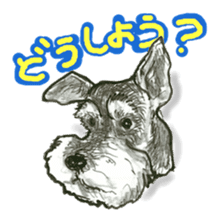 Miniature Schnauzer - BooBii sticker #6878378