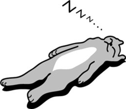 Between a cat and human (NoComment) sticker #7084160