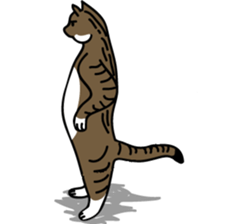 Between a cat and human (NoComment) sticker #7084162