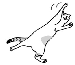 Between a cat and human (NoComment) sticker #7084167