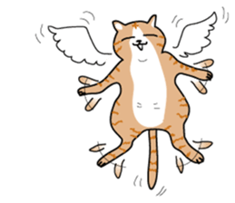 Between a cat and human (NoComment) sticker #7084178