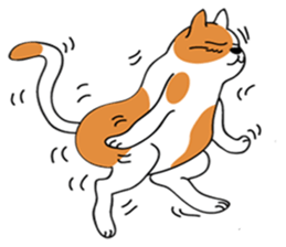 Between a cat and human (NoComment) sticker #7084180