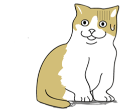 Between a cat and human (NoComment) sticker #7084198