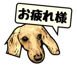 Real dog 's 2 sticker #7119601