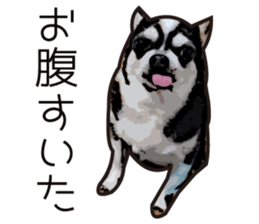 I, Maro sticker #7125968