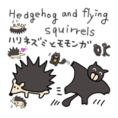 Hedgehog and flying squirrels