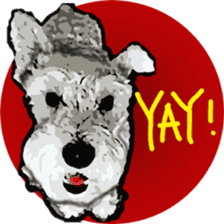Boo Bii - The Schnauzers sticker #8328144