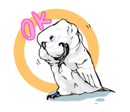 Mischievous parrot sticker #8562211