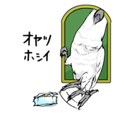 Mischievous parrot sticker #8562243