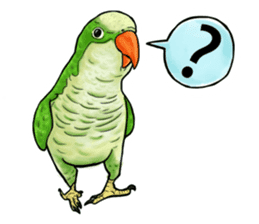 parrot like to talk sticker #8792811