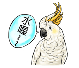 parrot like to talk sticker #8792813