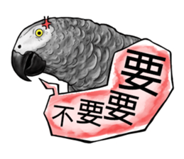 parrot like to talk sticker #8792816