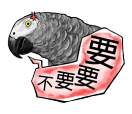 parrot like to talk sticker #8792816