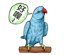 parrot like to talk sticker #8792817