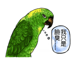 parrot like to talk sticker #8792823