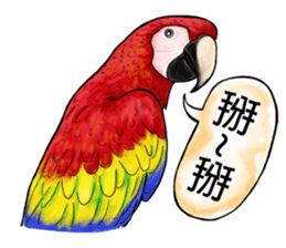 parrot like to talk sticker #8792830
