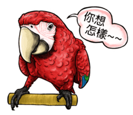 parrot like to talk sticker #8792835