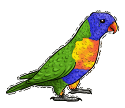 parrot like to talk sticker #8792841
